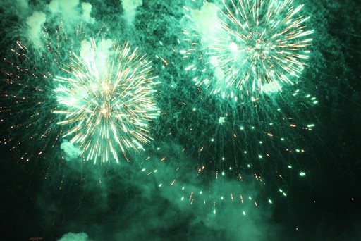 fireworks vf15 (5)
